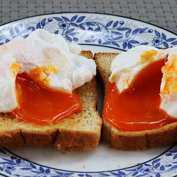 Poached duck eggs on toast bled.