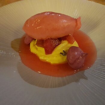Raspberry sorbet on a vanilla custard with a berry coullie