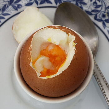 Boiled chicken egg s.jpg