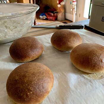 Burger Buns (And No-Knead Bread In The Background)