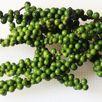 Green peppercorns 2 s.jpg