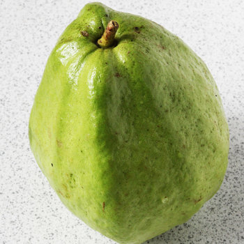 Guava s.jpg