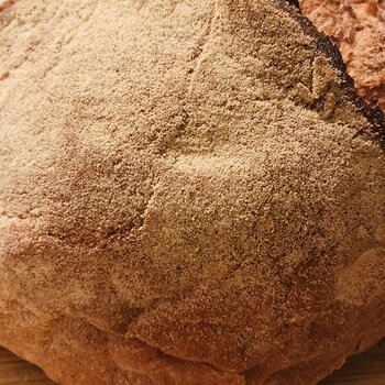 Durum Wheat Semolina Bread.jpeg