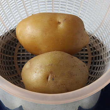 boiled potatoes s.jpg