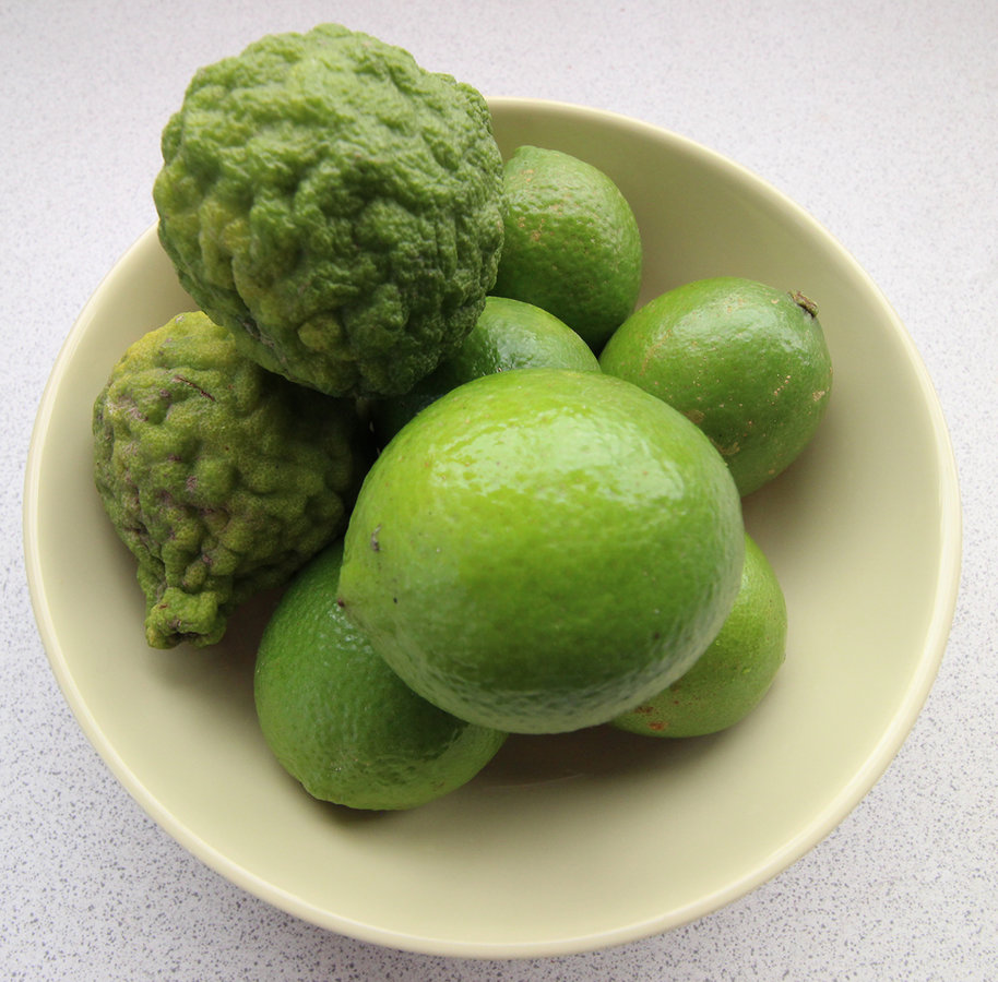 1. The limes; ordinary and kaffir.