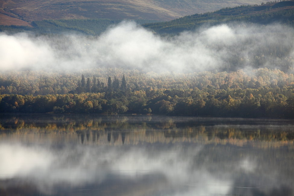 October 2017 - A Foggy Forest, Loch Rannoch