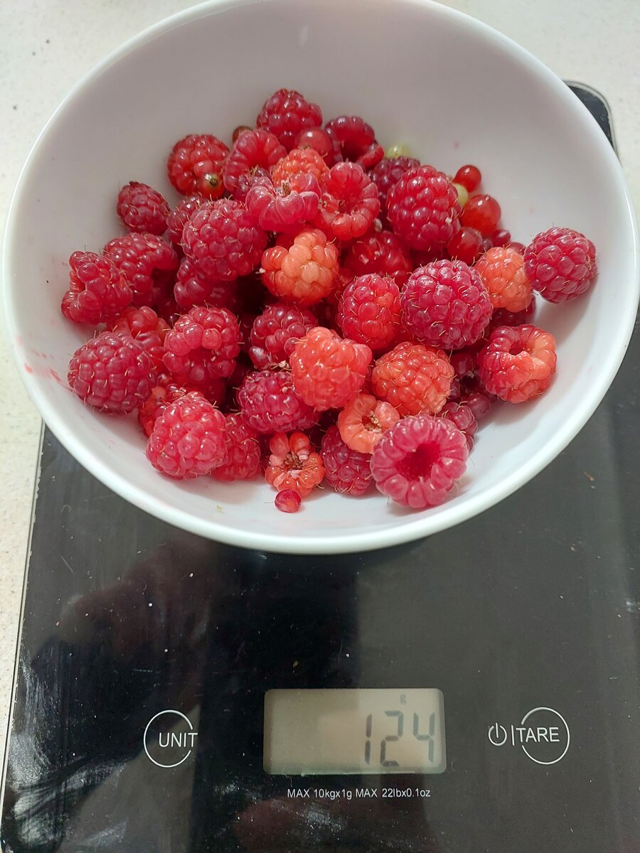 Possibly the last of the raspberries this summer
