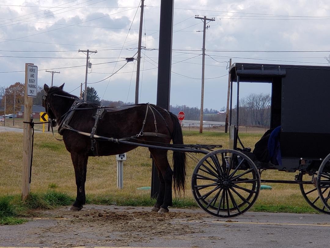 Amish buggy at DG 2.jpg