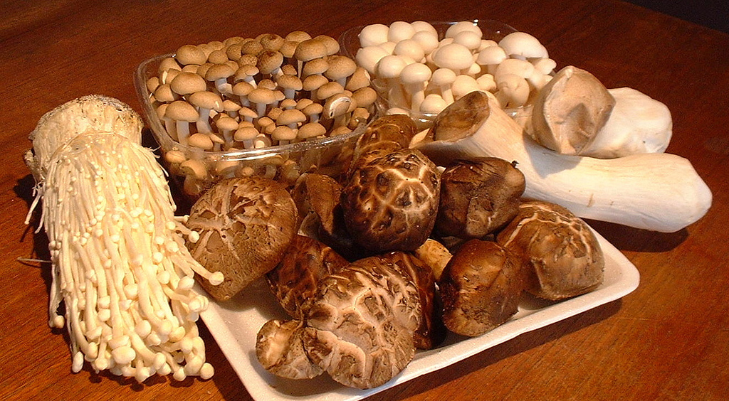 Asian_mushrooms.jpg