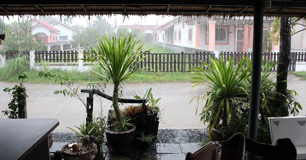 bamboozelled rain.jpg