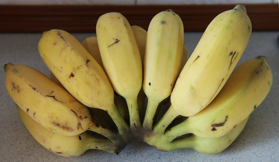 bananas 2 s.jpg
