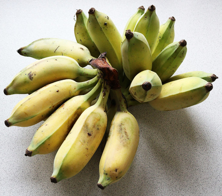 bananas s.jpg