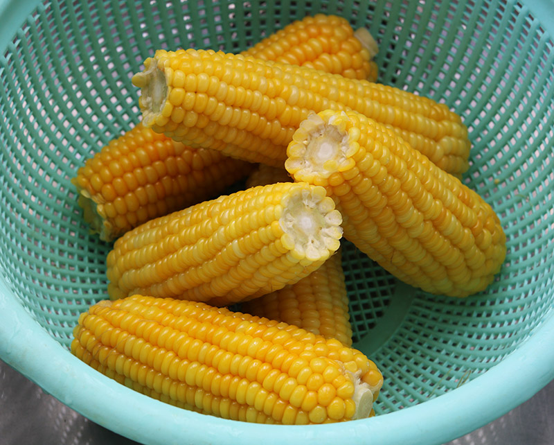 blanched corn s.jpg