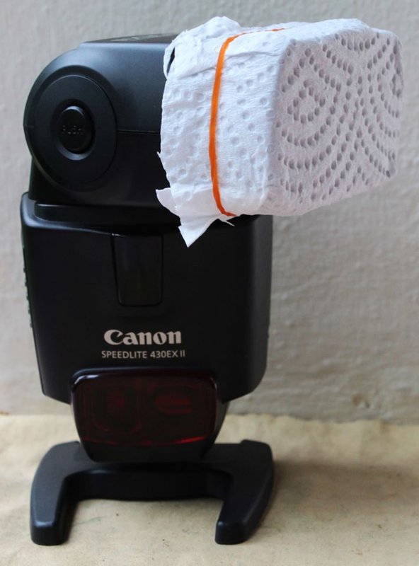 Canon EX II with diffuser.jpg