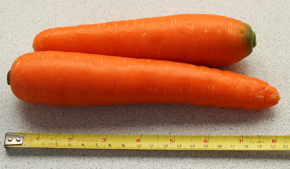 carrot size.jpg