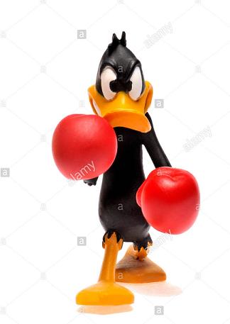 cartoon-character-figurine-daffy-duck-boxing-H4CF7C.jpg