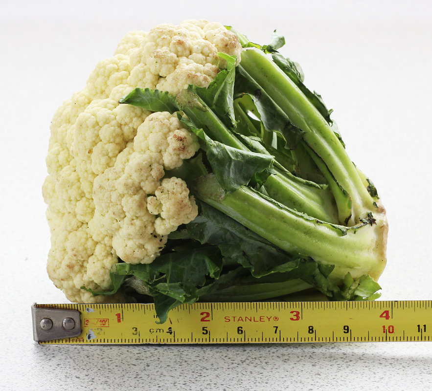 cauliflower size.jpg