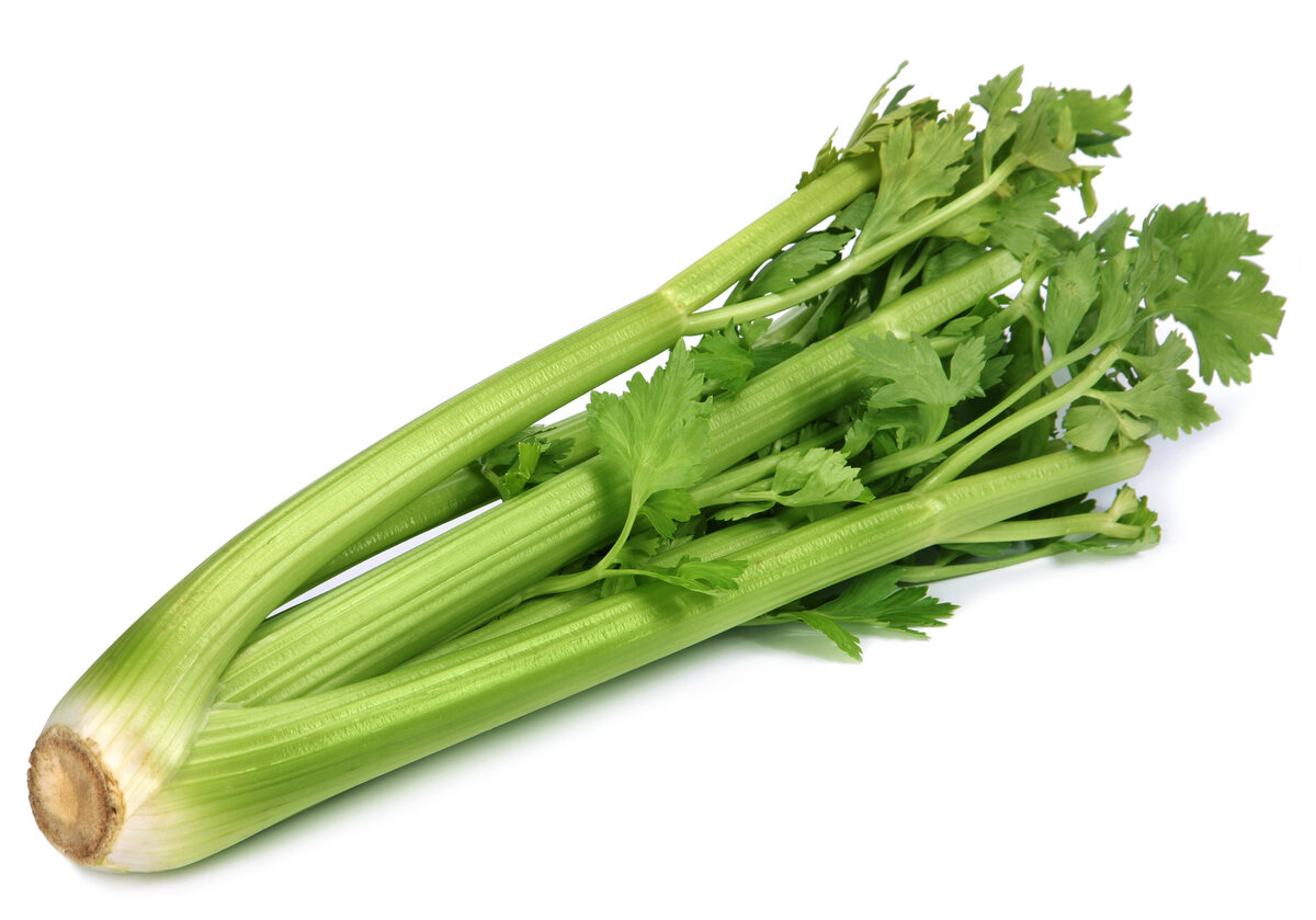 Celery..jpg