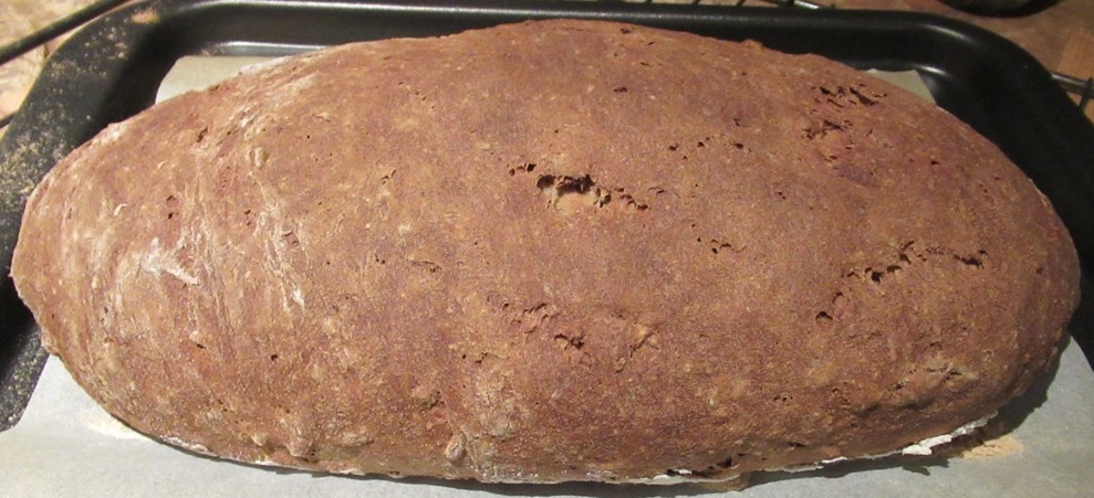 Chestnut Bread (1) 1A 06122018.jpg