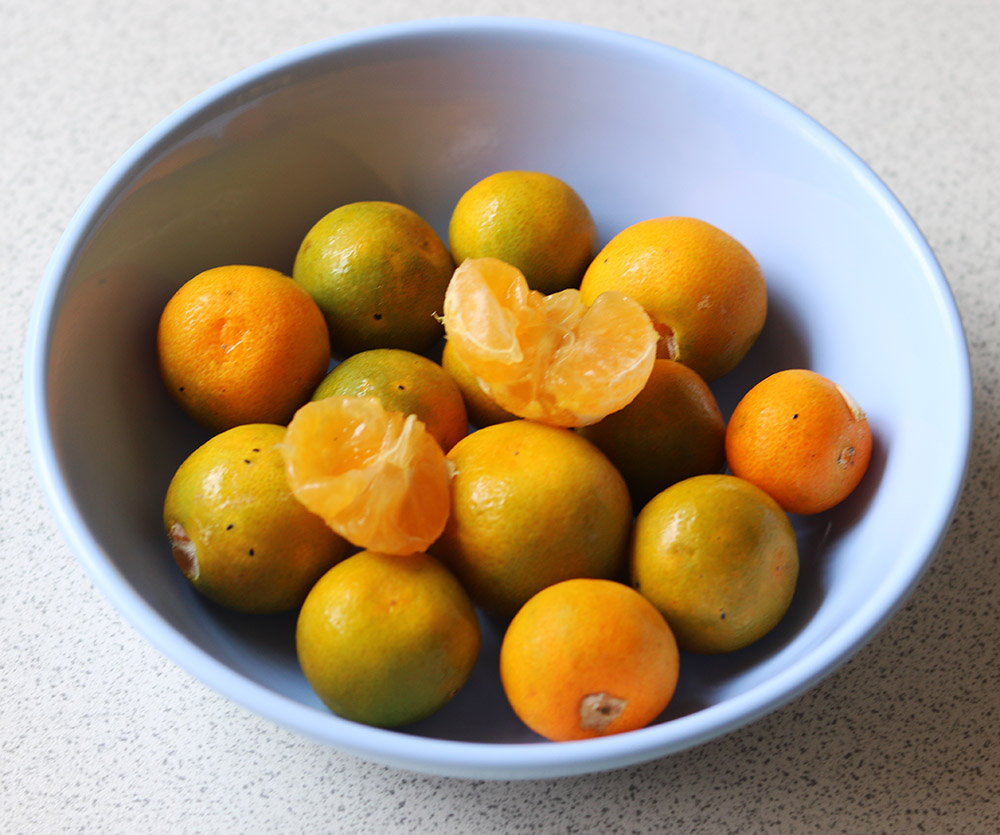 Chinese oranges s.jpg