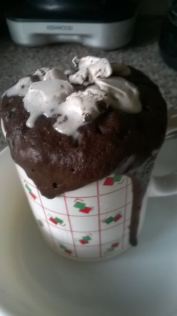 Chocolate mug cake.jpg