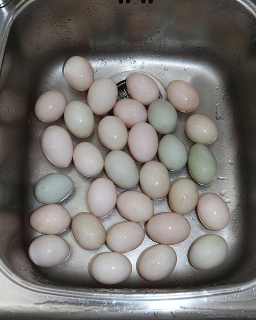 duck eggs sink s.jpg