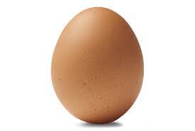 egg.jpeg