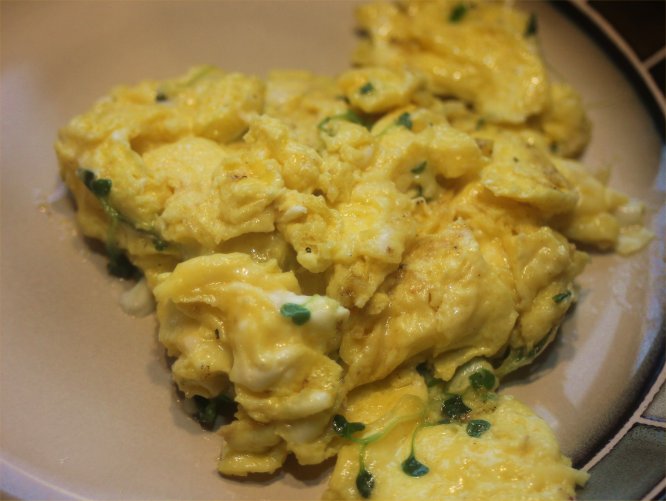 eggs scrambled no milk.jpg