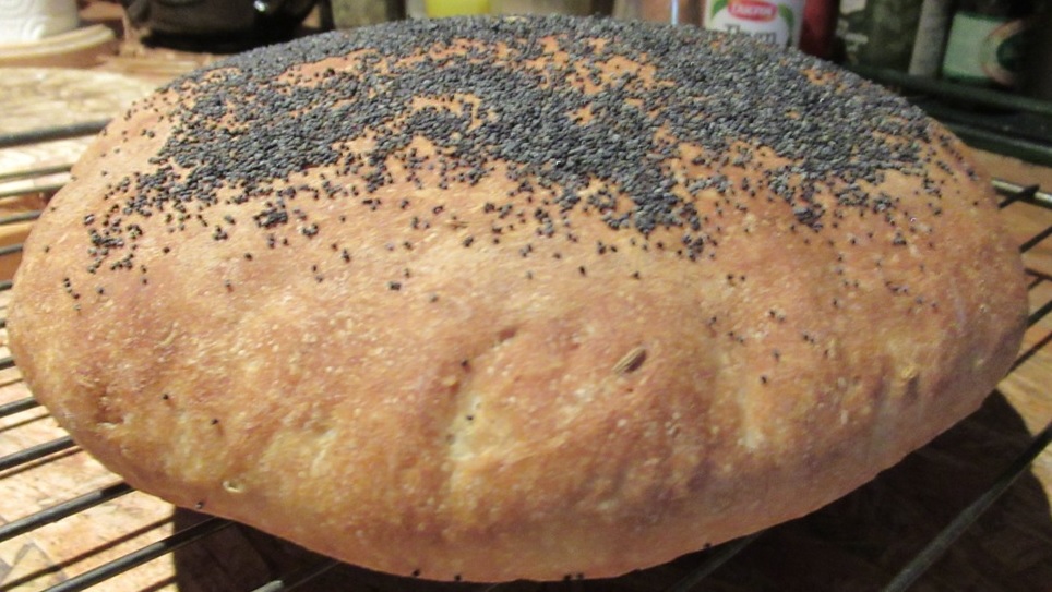 Fennel bread with poppy seeds 2 cropped.jpg