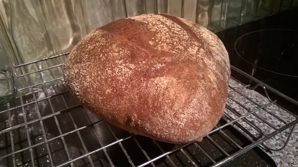 First sourdough loaf.jpg
