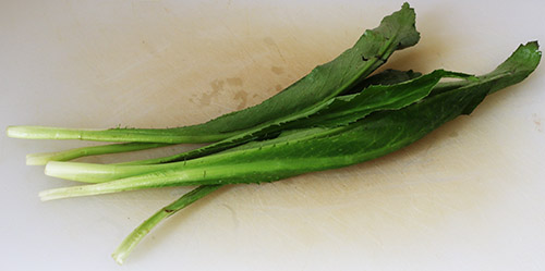 flat leaf parsley s.jpg