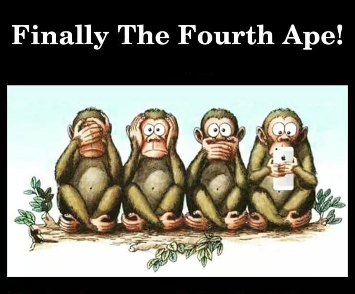 four monkeys.jpg