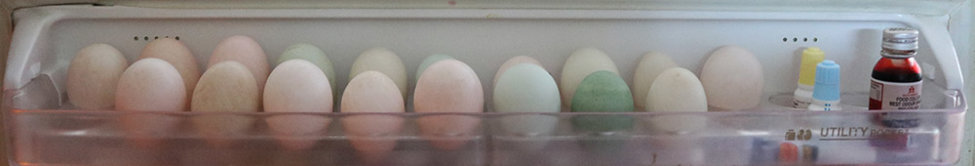 fridge eggs s.jpg