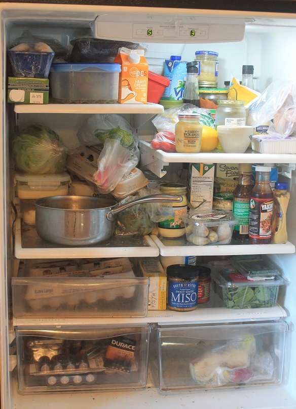 fridge interior.jpg