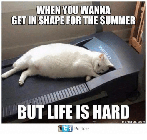 get-in-shape-for-the-summer-life-meme.png