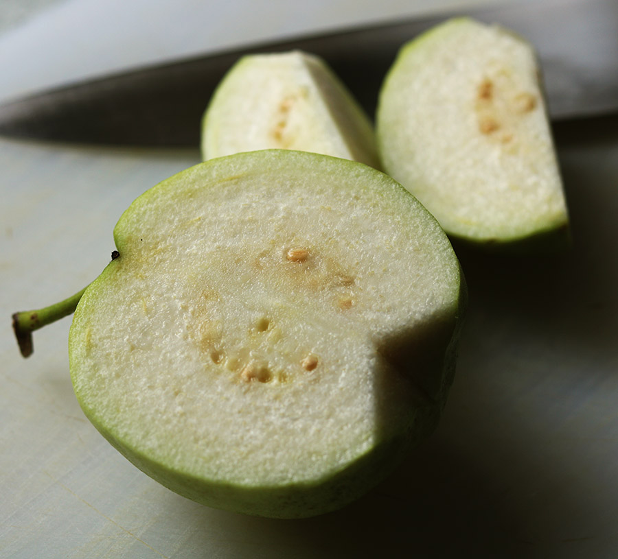 guava 1 s.jpg