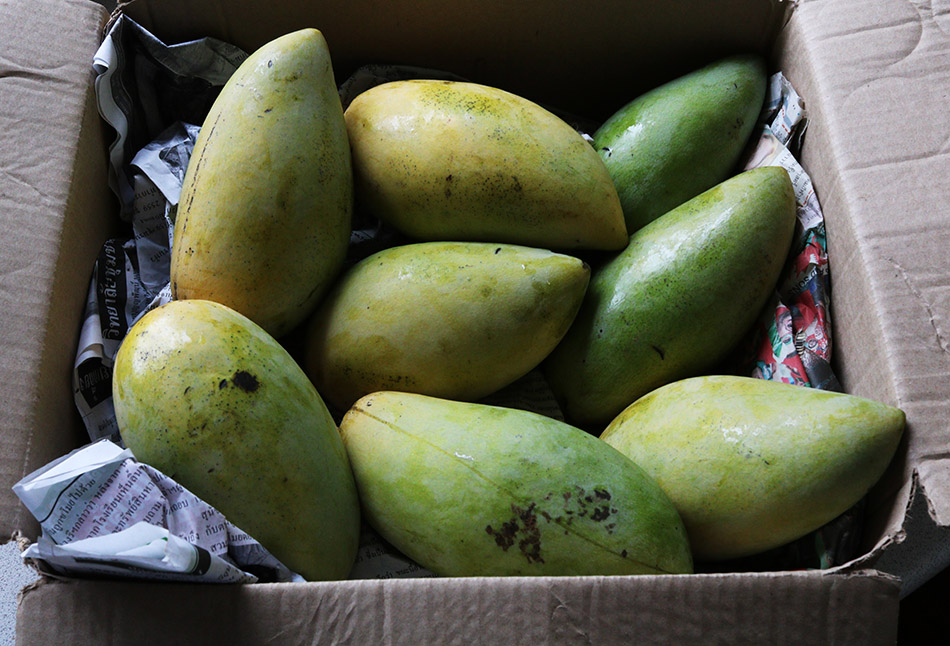 mangoes 2 s.jpg