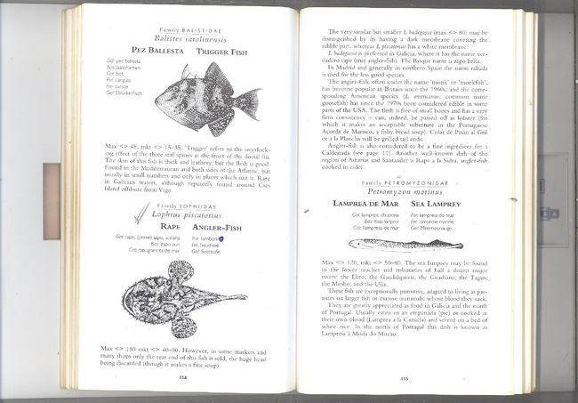 monkfish for cooking bites.jpg