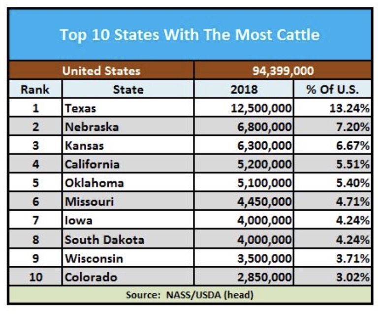Most Cattle by State.jpg