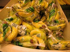 Packed-Bananas.jpg