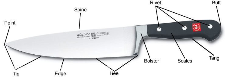 Parts of the Knife..png