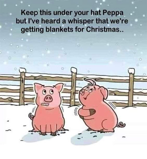 Pigs in blankets.jpg