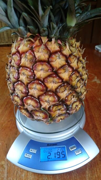 Pineapple.JPG