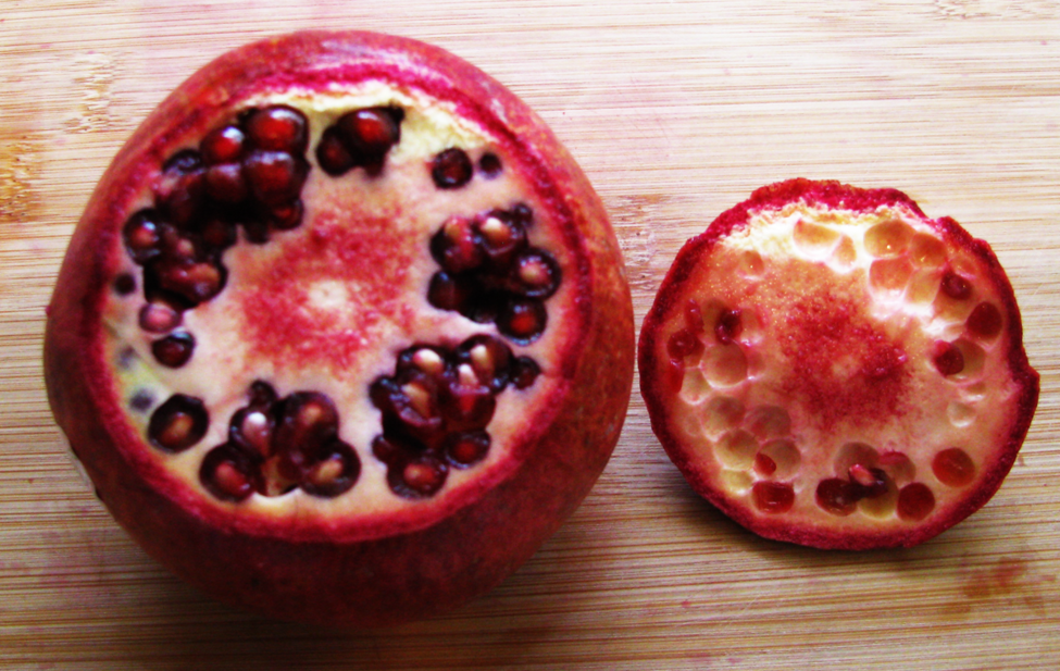 pomegranate03.png