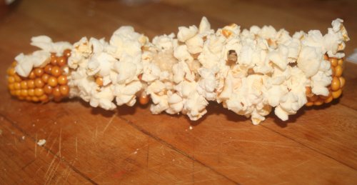 popcorn41.jpg