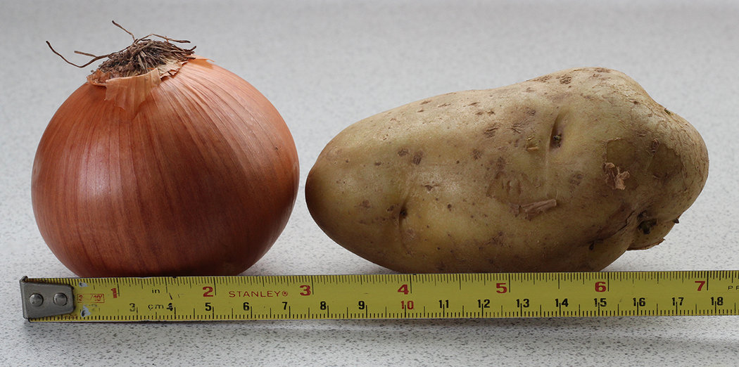 potato-onion size.jpg
