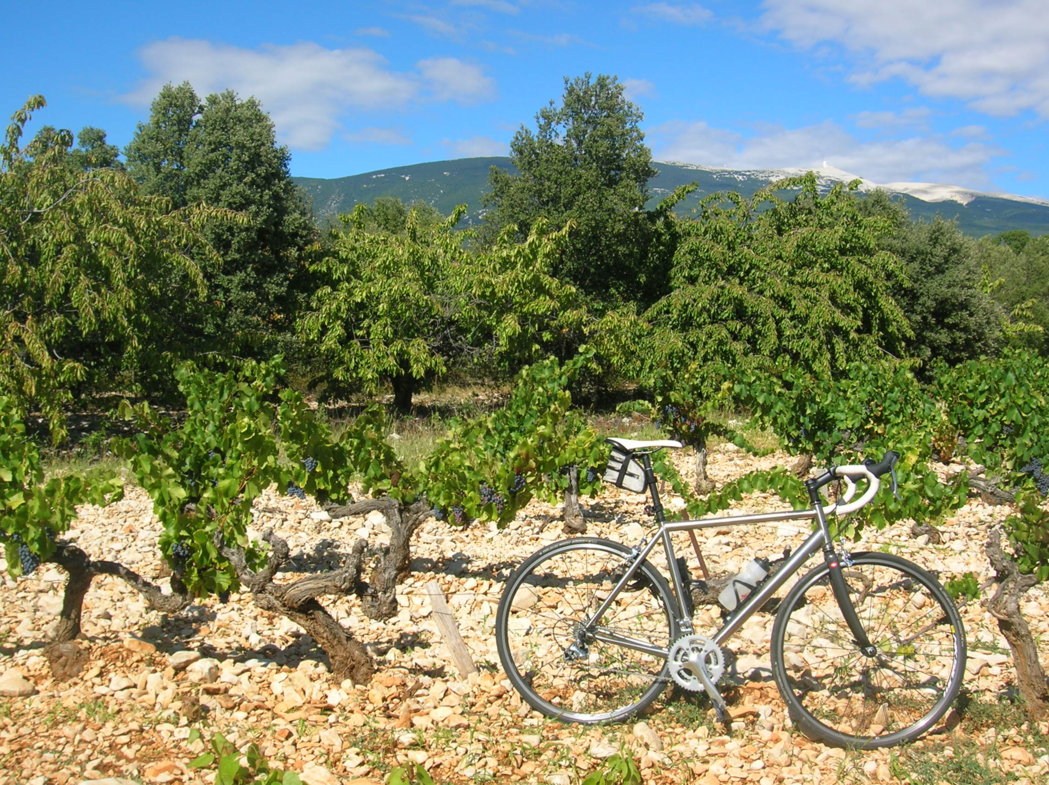 Provence - Crillon 2015 036.JPG