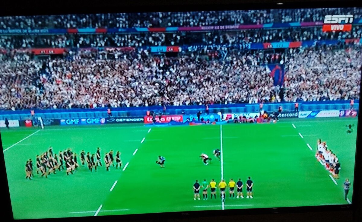 Rugby World Cup opener 1.jpg