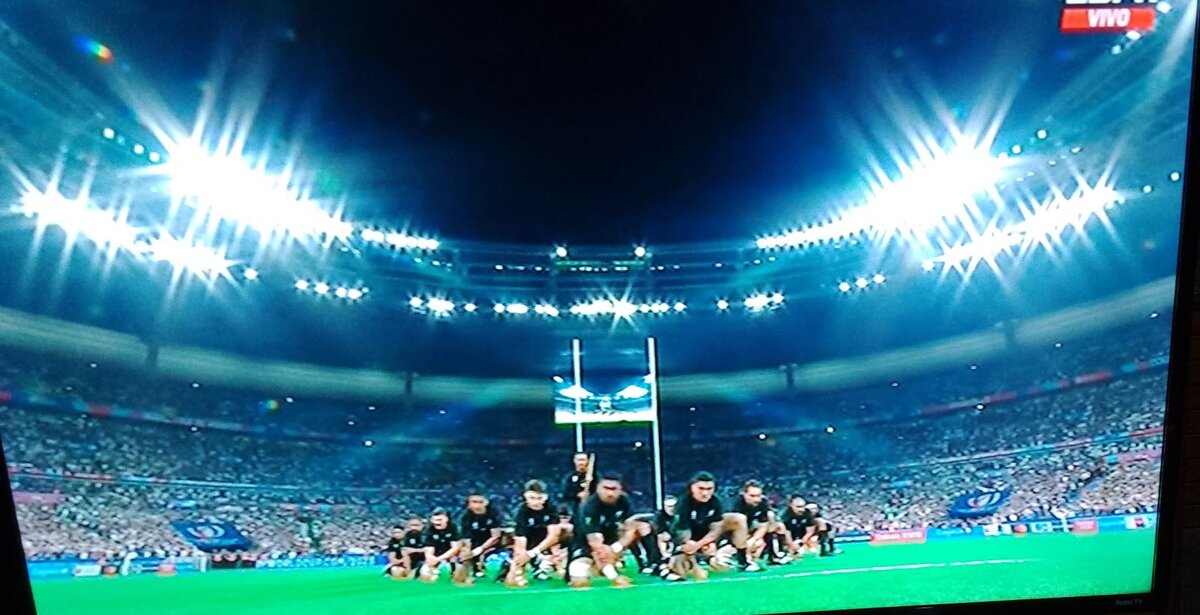 Rugby World Cup opener 2.jpg