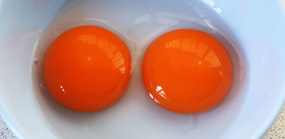 seperated eggs s.jpg